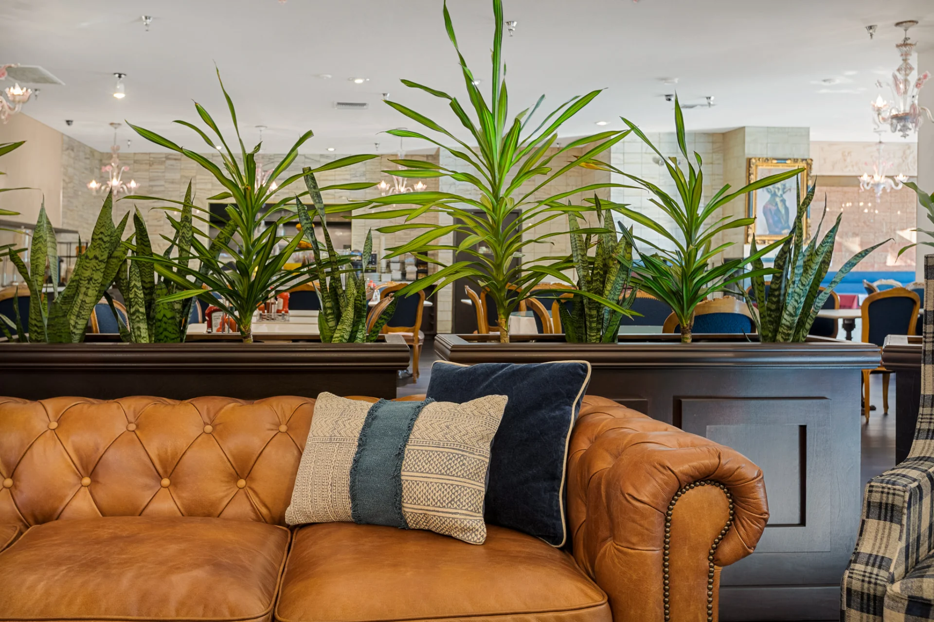 lobby area couch and plants